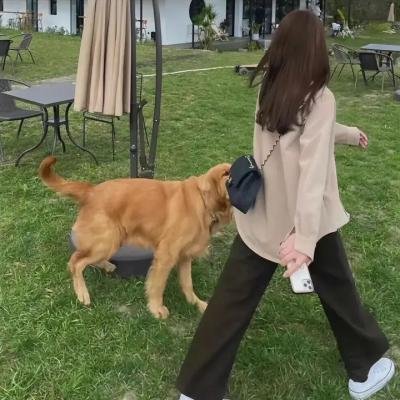 露营者日记