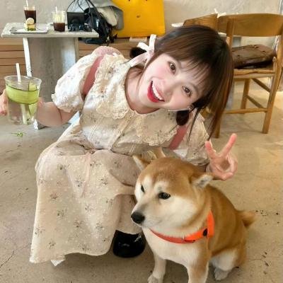 靓妹杂牌军